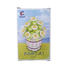 bonsái daisy