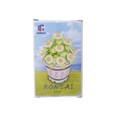 bonsái daisy