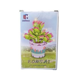 bonsái...