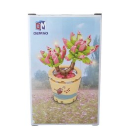 bonsái echeveria...