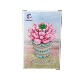 bonsái sedeveria pink ruby