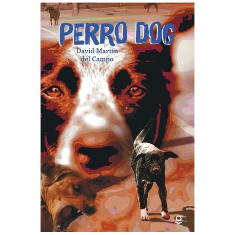 perro dog