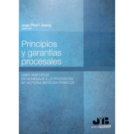 principios y garantias...