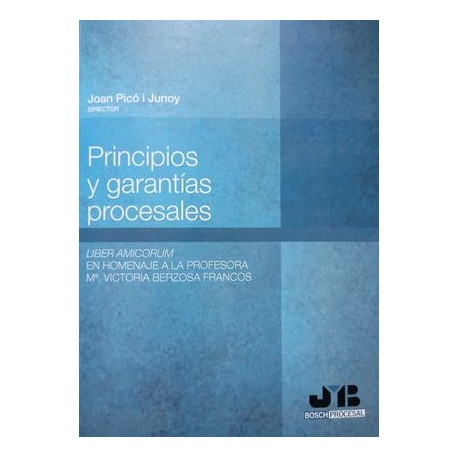 principios y garantias...