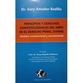 principios y derechos...
